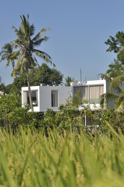 Villa Ashoka Canggu Dış mekan fotoğraf